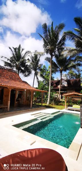 The Birdhouse Villa
